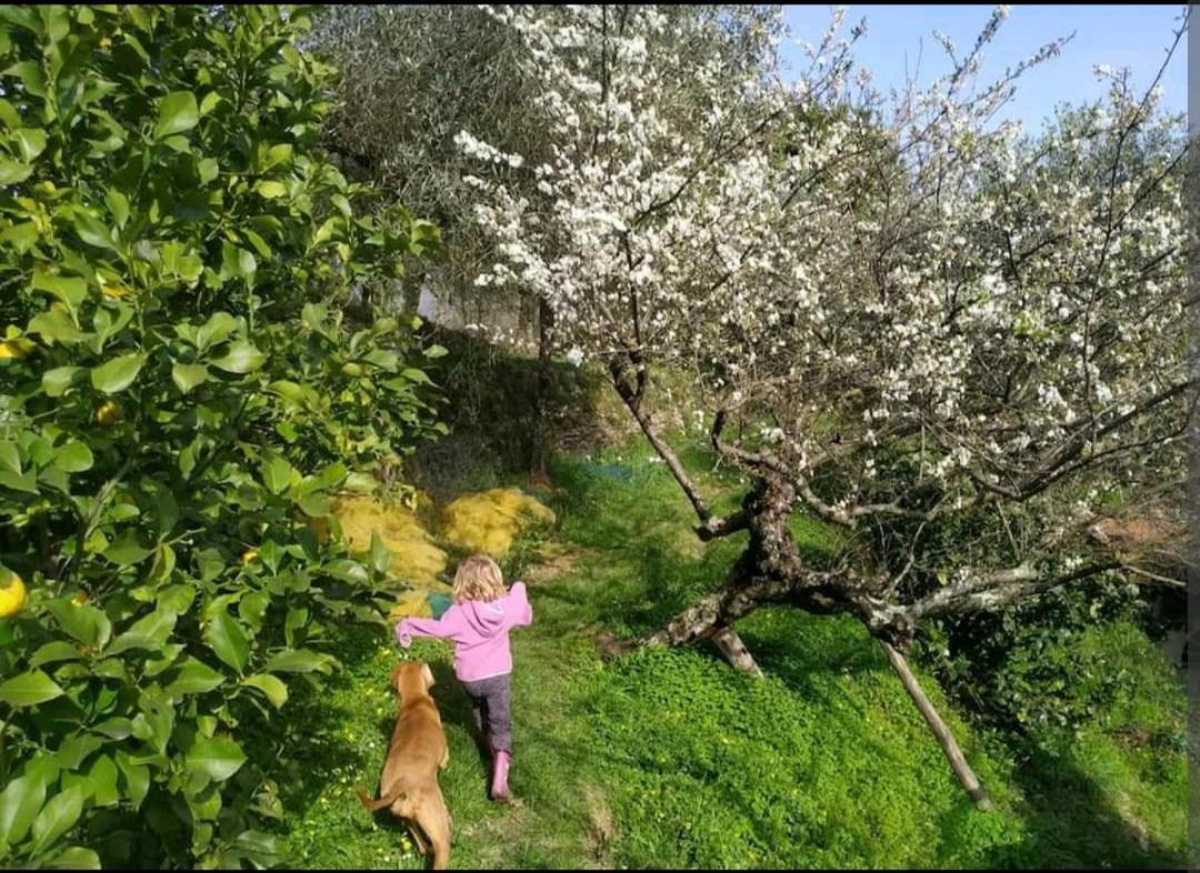 A Casa Di Grea Bed and Breakfast Rapallo Buitenkant foto